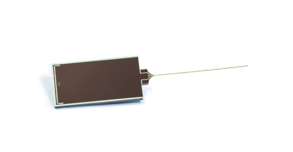 A new nerve-cell monitor will help those studying brains