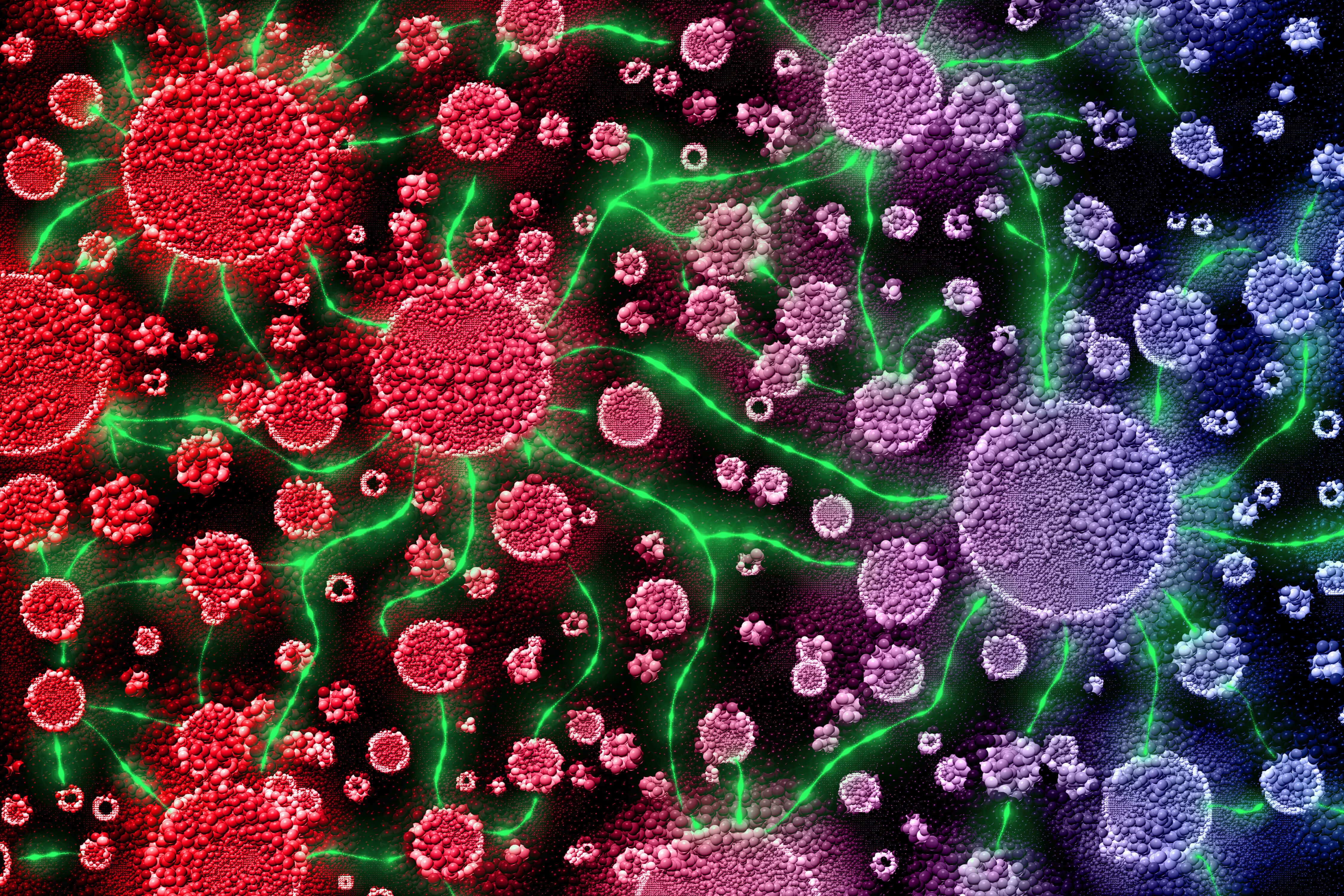 QBI Signaling Across Scales Symposium 