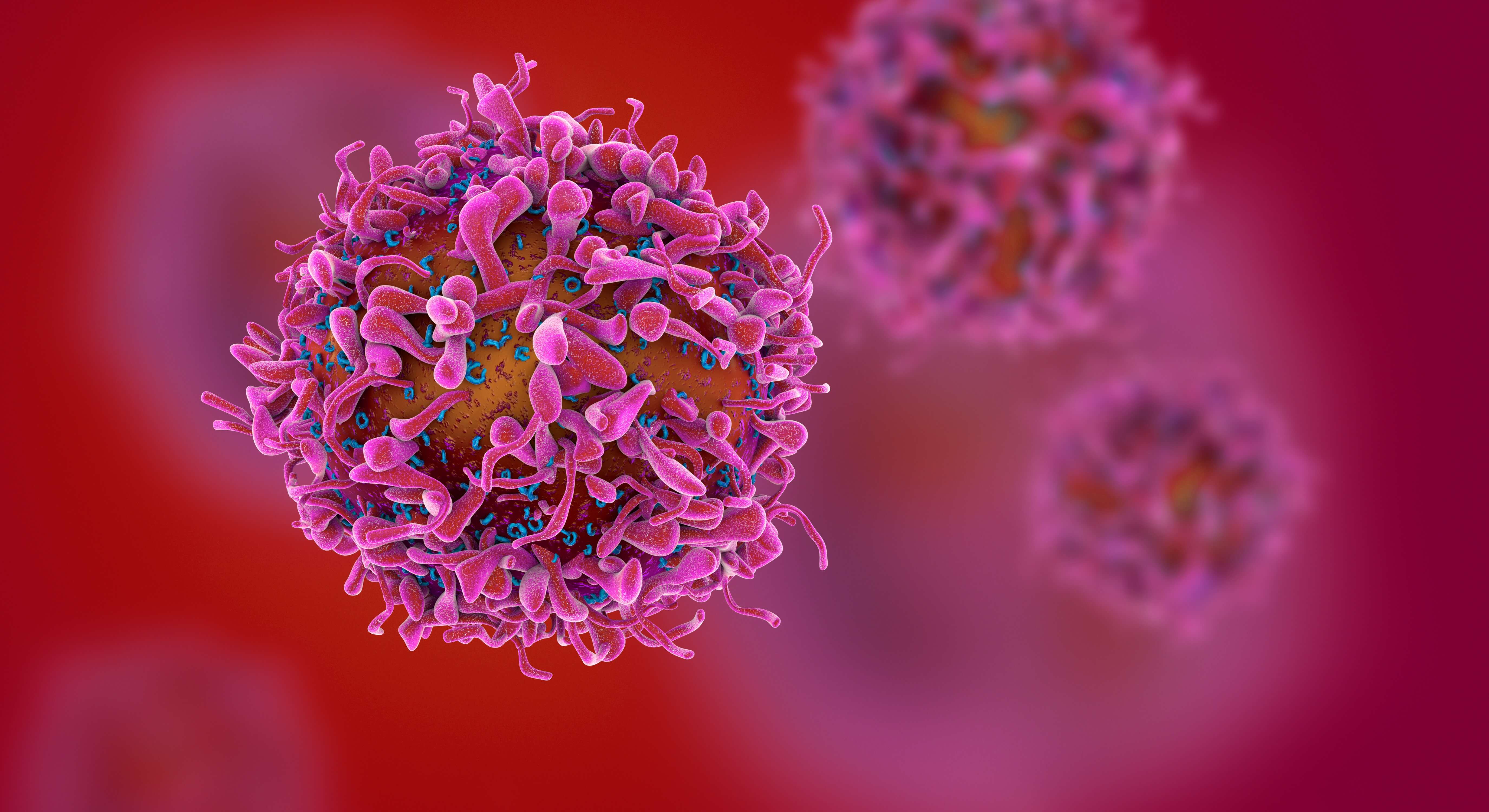 Quantitative Biology of the Cancer Cell Symposium
