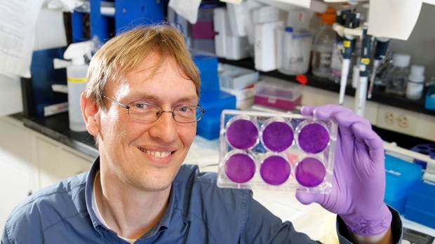 The cell biology of viral infection