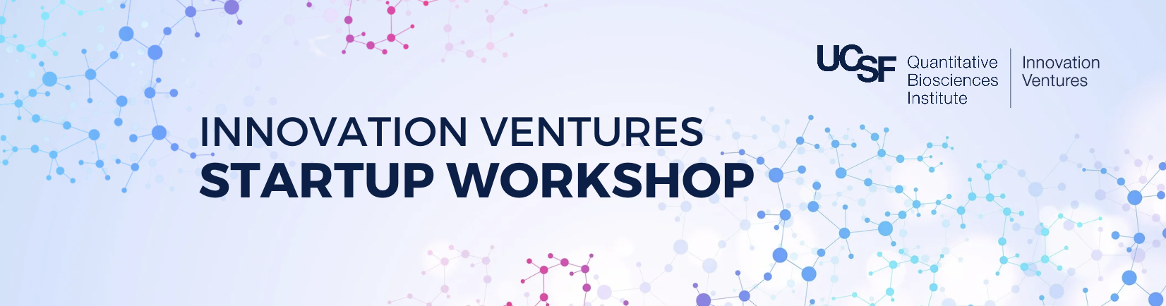 Innovation Ventures Startup Workshop 
