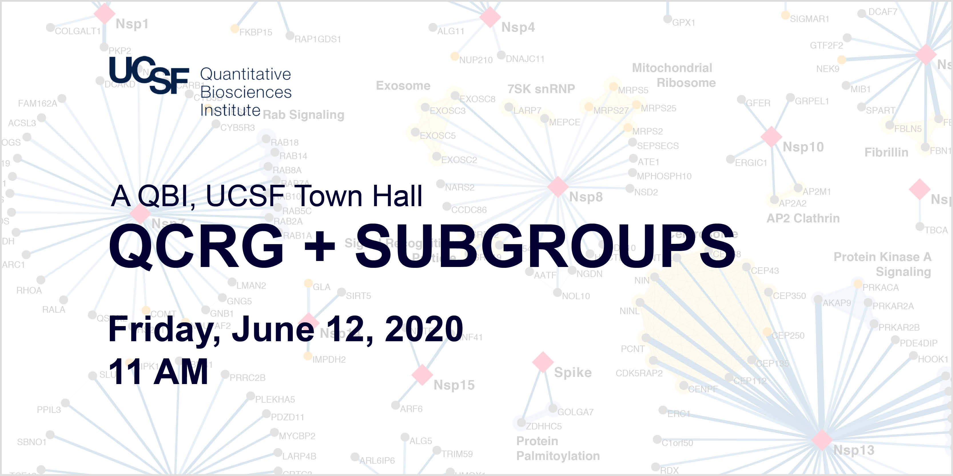 QCRG and Subgroups Town Hall