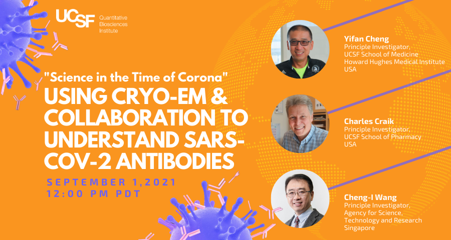 Using Cryo-EM and collaboration to understand SARS-COV-2 antibodies