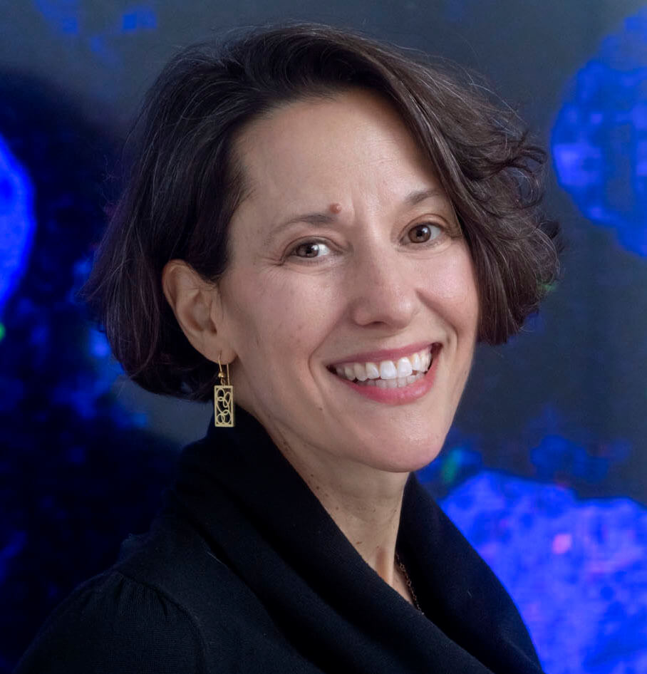 QBI Seminar: Ubiquitin Signaling 