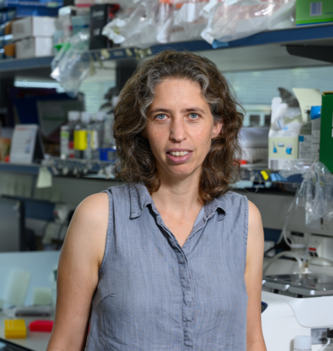 A Virally Encoded High Resolution Screen of Cytomegalovirus Host Dependencies