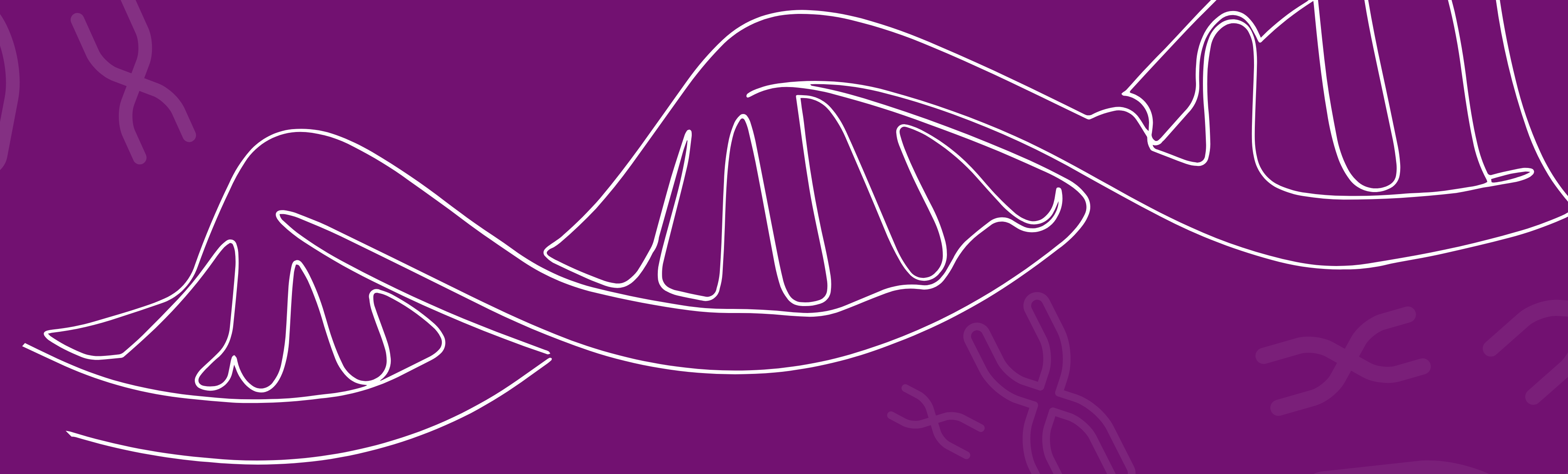 QBI Chromatin Symposium: From Bench to the Bedside