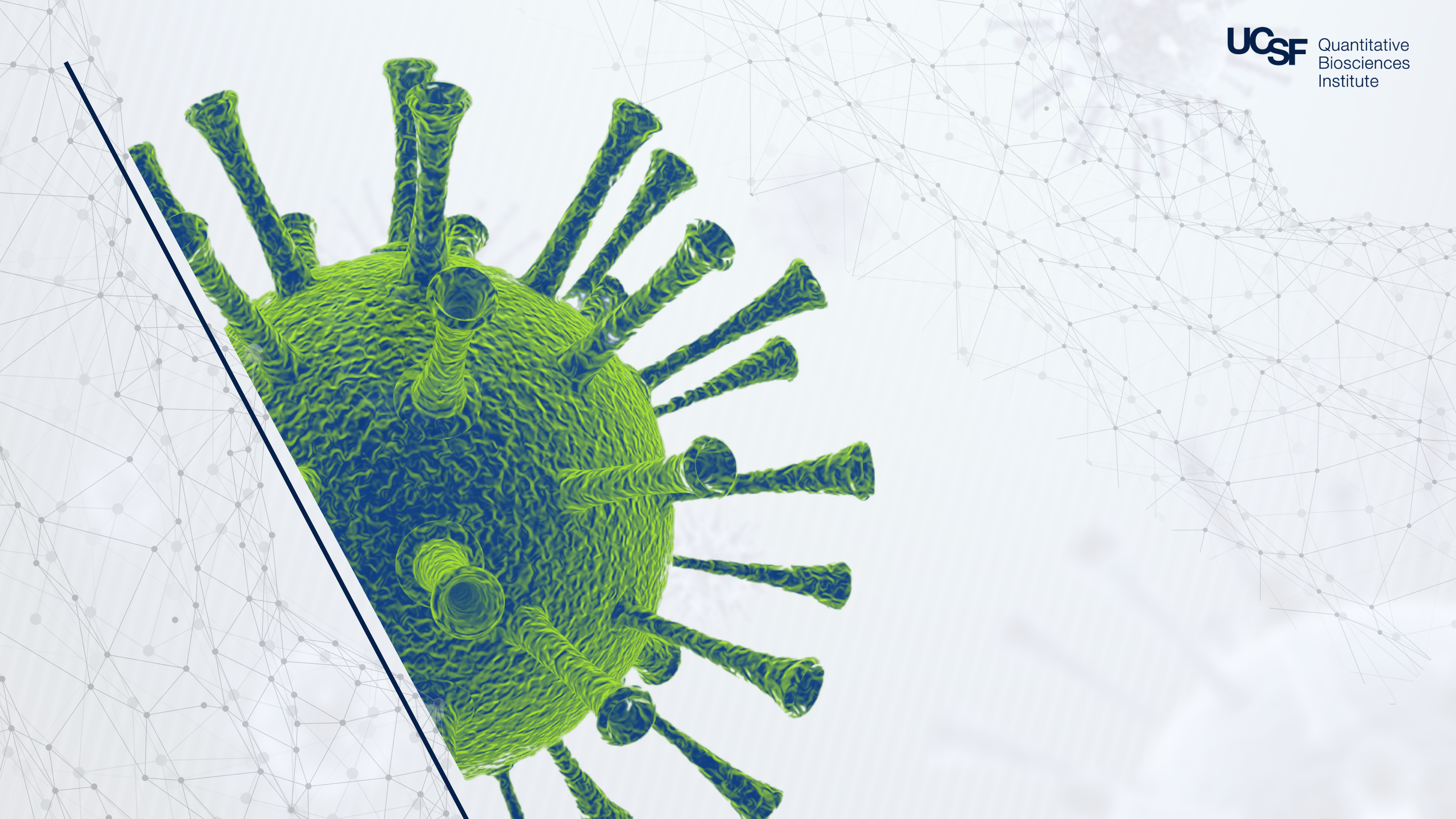 QBI - Systems Biology for Infectious Diseases Workshop
