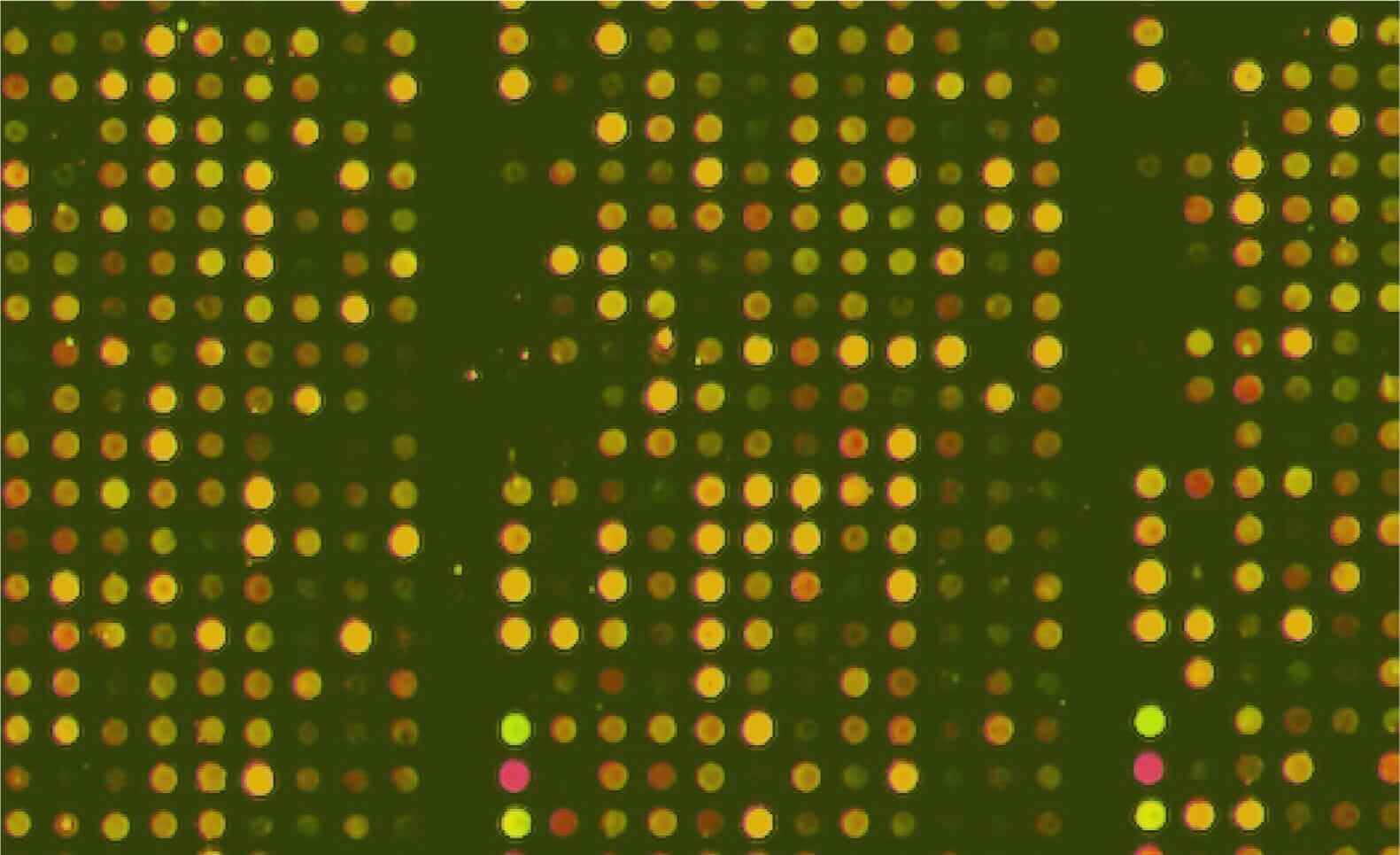 Computational Biology