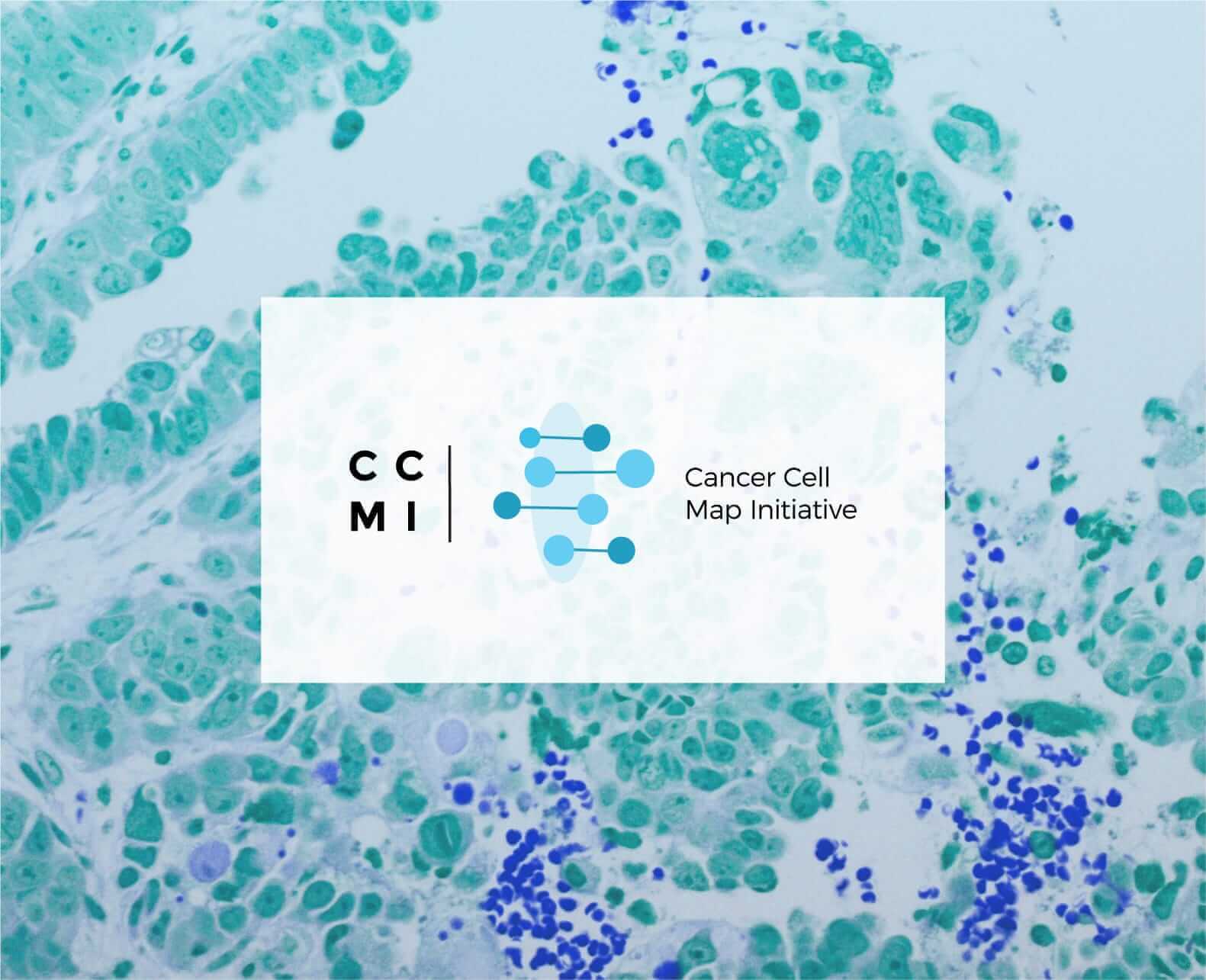 Cancer